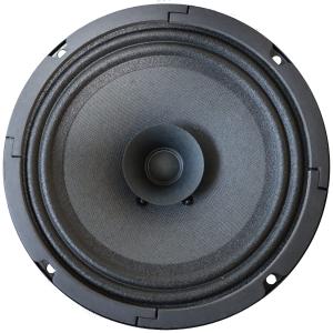 オートバックス プロトーン VSP-10 10cm 2-WAY COAXIAL SPEAKER : GOOD