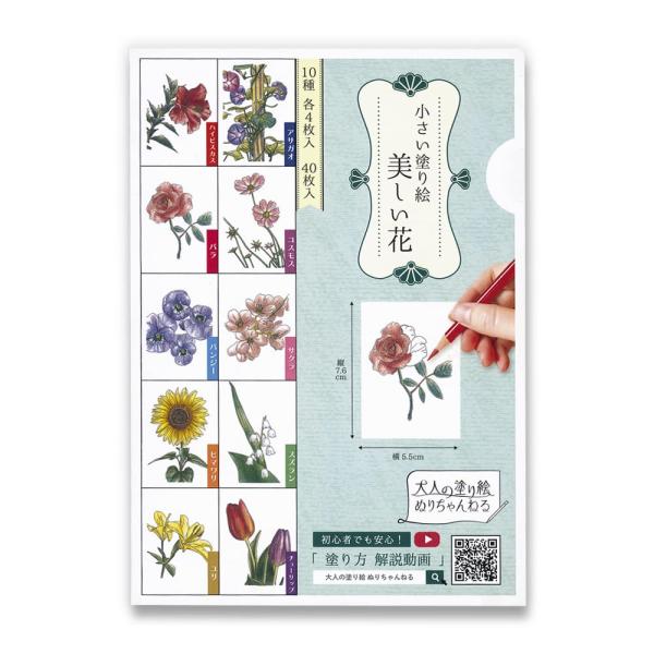 大人の塗り絵 ぬりちゃんねる 小さい塗り絵 美しい花 10種 40枚入 初心者でも安心 A4