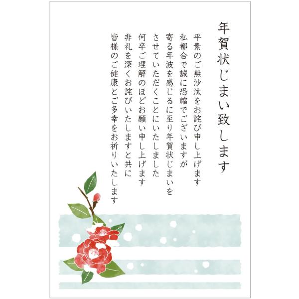 年賀状じまい 葉書 10枚（高齢のため／文字大きめ）私製ハガキ〈S-NJ203 ツバキ〉