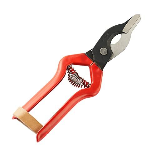 あぐりの蔵 日本製 キウイ用環状剥皮ハサミ