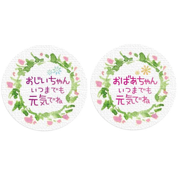 ギフトシール 敬老の日 おじいちゃんおばあちゃんいつまでも元気でね 各25枚（5シート） 日本製