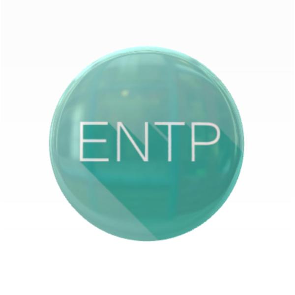 RedAces 性格バッジ ENTP 討論者 発明家 ユング心理学 缶バッジ グッズ キーホルダー ...