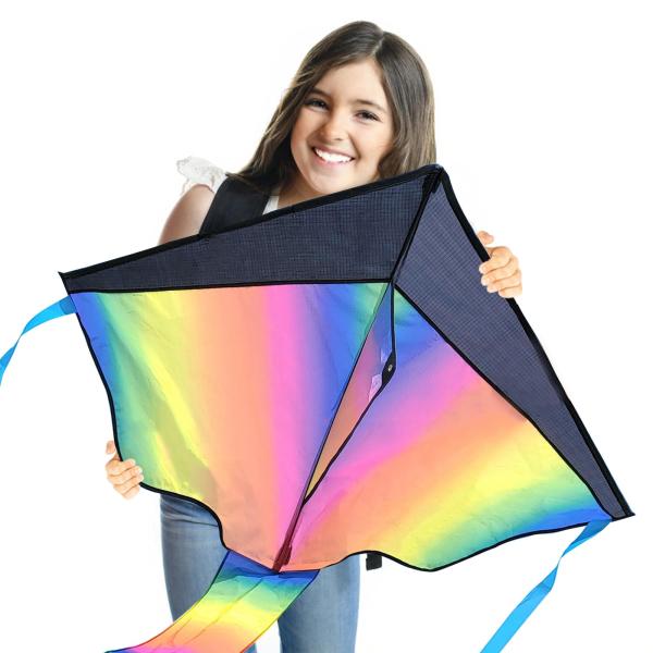 カイト 凧 よく飛ぶ たこあげ 子供 大人 凧揚げ マルチカラー