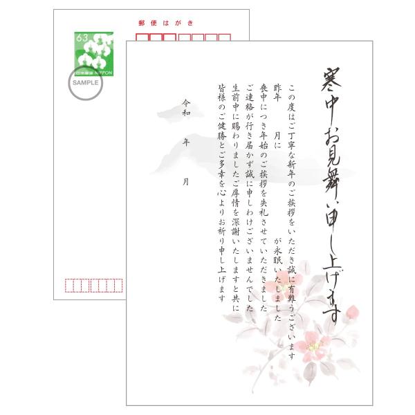寒中見舞い 官製ハガキ 喪中はがきを出せなかった文例 記入欄 寒椿柄 10枚…
