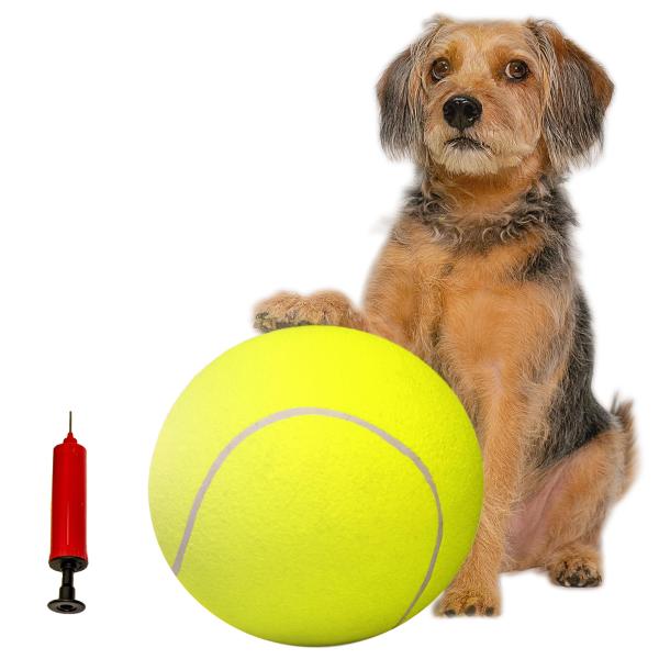 ［PAW EXPLORER］ Big Ball for Dogs | 24cm 犬 おもちゃ ボール...