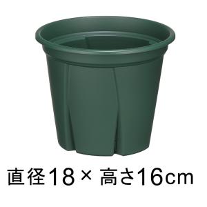 植木鉢 スリット鉢 根っこつよし 7号 21cm グリーン 3リットル