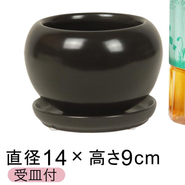 陶器鉢 CF ポッコリ 丸型 黒 つや無 14cm 0.6リットル 受皿付 植木鉢 おしゃれ 室内