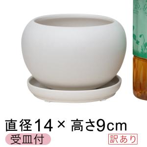 植木鉢 テラコッタ鉢 素焼き鉢用 受皿 丸型 約31cm (7046669) 送料別