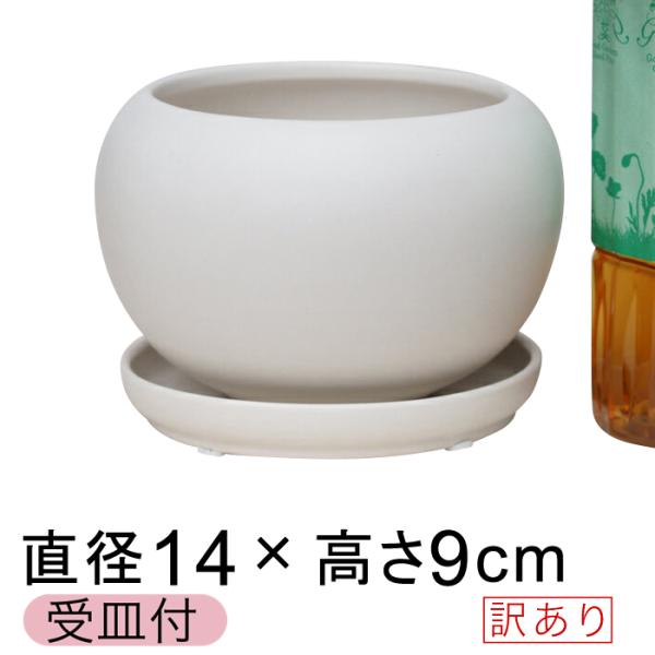 【訳あり】 陶器鉢 CF ポッコリ 丸型 白 つや無 14cm 0.6リットル 受皿付 植木鉢 おし...