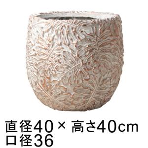ファイバーセメントポット ホワイト系 ファーンプラントデザイン　観葉植物の鉢 ファイバーセメントポット ホワイト系 ファーンプラントデザイン M
