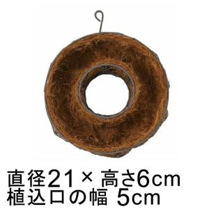 サビ色 ランダムワイヤー ドーナツ型 壁掛 ラウンド