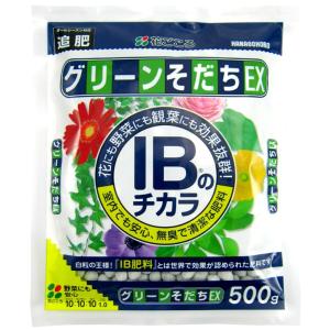 グリーンそだちEX　IBのチカラ 500g 緩効性肥料 化成肥料　◆クリックポスト（メール便）で送料...