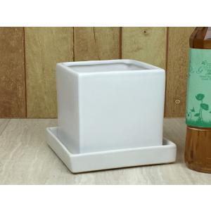 陶器鉢 MP キューブ型 白 つや無 11cm 0.85リットル 受皿付 植木鉢 おしゃれ 室内