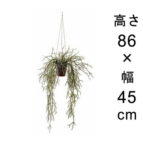 造花 観葉植物 フェイク グリーン #80-957 リプサリス 室内 インテリア おしゃれ