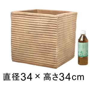 植木鉢 テラコッタ 大型 おしゃれ プランター 人気 おすすめ 観葉植物