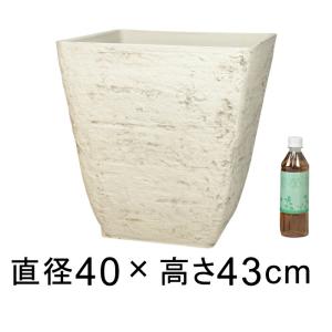 睡蓮鉢 プラスチック 四角の商品一覧 通販 Yahoo ショッピング