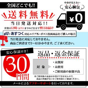 エルサ ドレス 大人用 コスプレ レディース ...の詳細画像4
