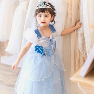 シンデレラ ドレス キッズ 衣装 子供 長袖 ...の詳細画像1
