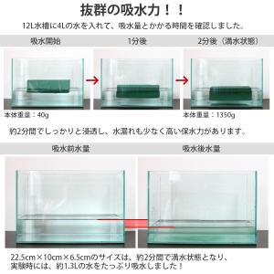 【高品質10個セット】フローラルフォーム ドラ...の詳細画像3