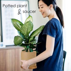 【受け皿セット】植木鉢 おしゃれ プランター ...の詳細画像1
