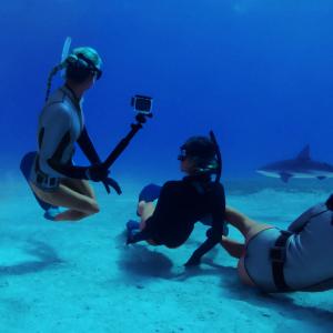 GoPro公式 ゴープロ ダイブハウジング ダ...の詳細画像2