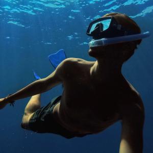 GoPro公式 ゴープロ ダイブハウジング ダ...の詳細画像3