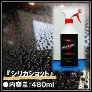シリカショット CS-480 ４８０ｇ  コーティング剤 プラスティ