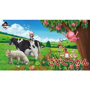 一番くじ こびとづかん1ロット+販促物+未開封くじ券付き