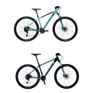 Bianchi（ビアンキ） Bianchi C・SPORT 1 (Celeste/Dark Terquoise