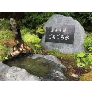 水 ミネラルウォーター ごろごろ水20LBOX...の詳細画像5