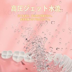 <限定:ノズル無料GET>口腔洗浄...の詳細画像2