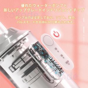 <限定:ノズル無料GET>口腔洗浄...の詳細画像4