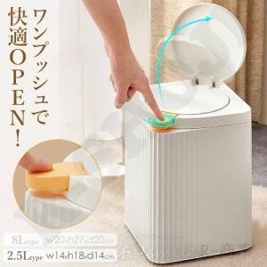 ポイント5倍 ゴミ箱 オムツ 2.5L おむつ処...の商品画像