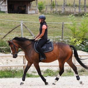 乗馬用 ハーフチャップス 合皮 人工皮革 乗馬用品