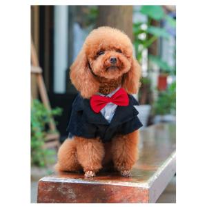 犬 服 ペットウェア ペット服 ペット用品 犬の服 ドッグウェア 春夏 かわいい デザイン｜goshu-kiki