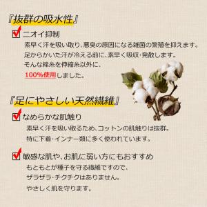 五本指 ソックス 5本指 靴下 レディース ハ...の詳細画像5