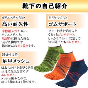 五本指 ソックス 足甲メッシュで高通気性 5本...の詳細画像2