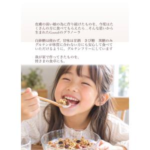 米粉グラノーラ(シナモン)【グルテンフリー/白...の詳細画像1