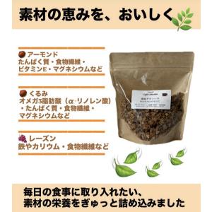 米粉グラノーラ(シナモン)【グルテンフリー/白...の詳細画像3
