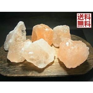 新品 未使用 ニンテンドー3DS LL ポケットモンスター Xパック ゼルネアス・イベルタル ブルー...