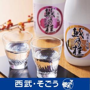 家飲み 日本酒 大吟醸 新潟 越後長岡 柏露 越乃桂 純米大吟醸 大吟醸 飲み比べセット 父の日 お中元｜gottsuobin