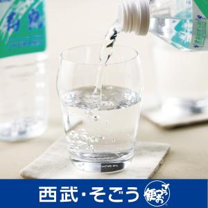 九州 物産展 ゲルマニウム 軟水鹿児島 垂水温泉水 寿鶴 ５００ｍｌ ４８本 父の日 お中元｜gottsuobin