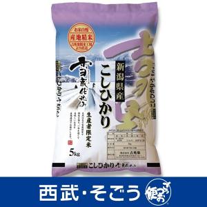 令和5年産 2023年産 こしひかり 雪蔵仕込み 新潟産 こしひかり 5kg 父の日 お中元｜gottsuobin