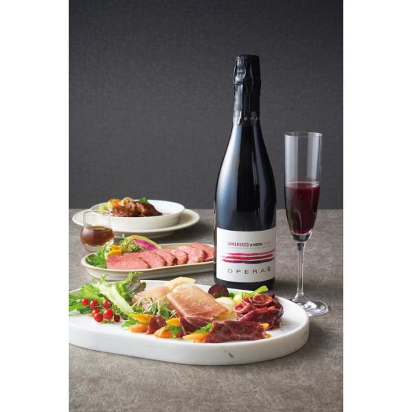 ローストビーフ 生ハム ビーフシチュー ランブルスコ 「OPERA02」 ランブルスコ×肉バルセット...