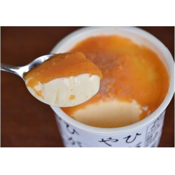 【10％offクーポン】お歳暮 冬ギフト 2025 いもアイス 四万十ドラマ いも菓子アイス ひがし...