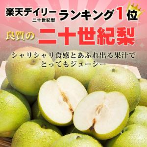 予約 梨王国鳥取 訳あり 二十世紀梨 5kg ...の詳細画像1