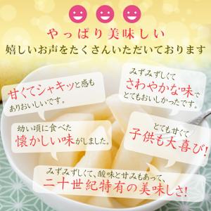 予約 梨王国鳥取 訳あり 二十世紀梨 5kg ...の詳細画像5