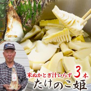 4/15以降発送 予約 高級筍 米ぬか研ぎ汁不要 受付後に朝掘り 道の駅で人気 たけのこ姫 茹でるだけ 朝採れ 3本 竹の子 産地直送 生 皮付き 赤土 はらだ農産 冷蔵