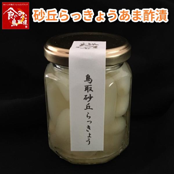 鳥取砂丘らっきょう あま酢漬 75g 浜田園 らくだ 福部産