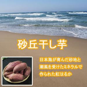 砂丘干し芋 お試し100g とろ〜り甘い ほし...の詳細画像3